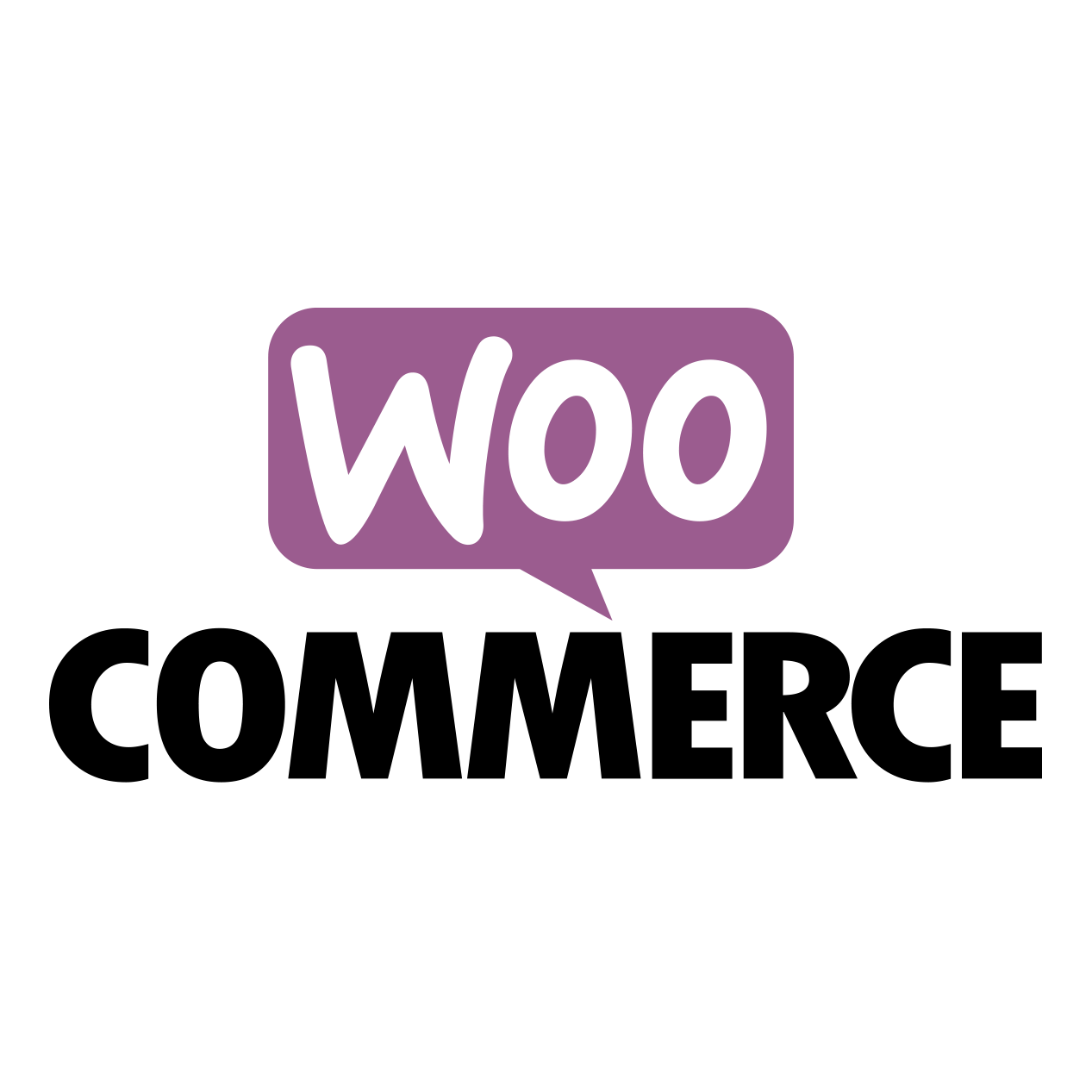 woocommerce websites